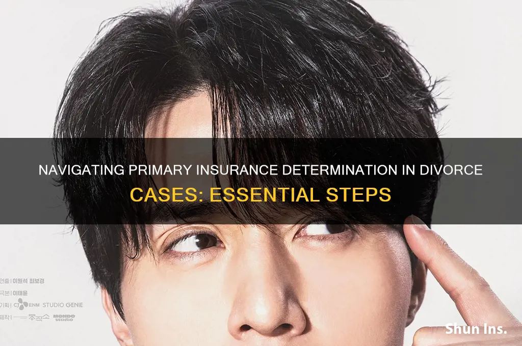 how to determine primary insurance in divorce case