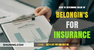 Assessing Belongings' Worth: A Guide to Accurate Insurance Valuation