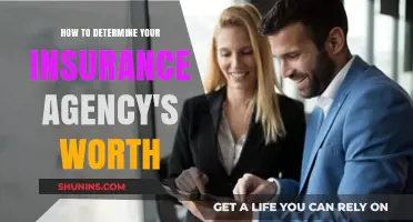 Assessing Your Insurance Agency's Worth: A Comprehensive Guide