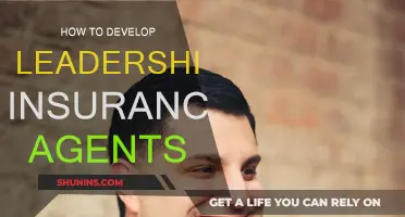 Developing Leadership: Guide for Insurance Agents