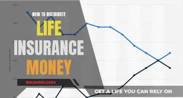 Life Insurance Money: Strategies for Effective Distribution