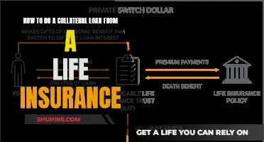 Unlocking Collateral Loans with Your Life Insurance Policy