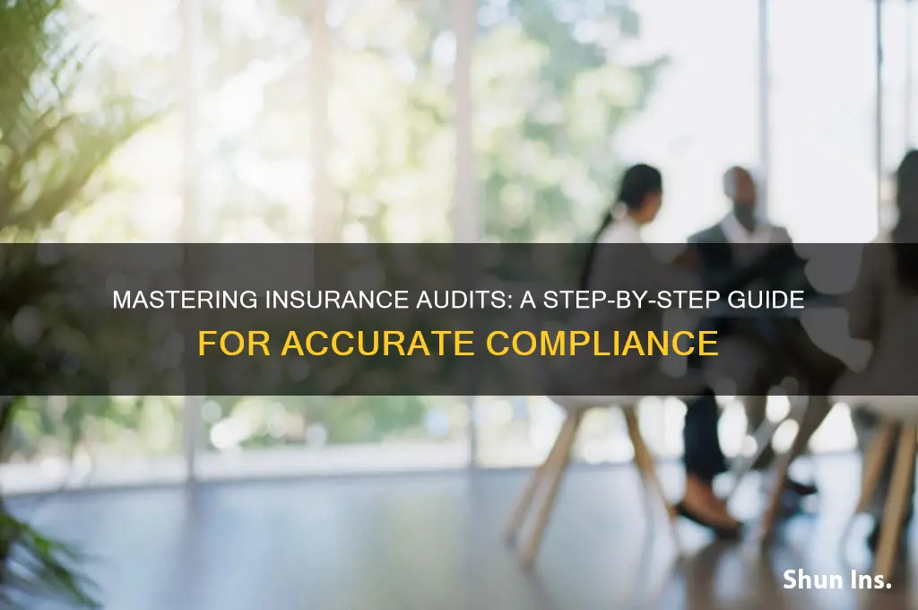 how to do insurance audit