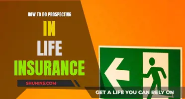 Prospecting for Life Insurance: Strategies for Success