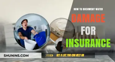 Documenting Water Damage for Insurance Claims: A Comprehensive Guide