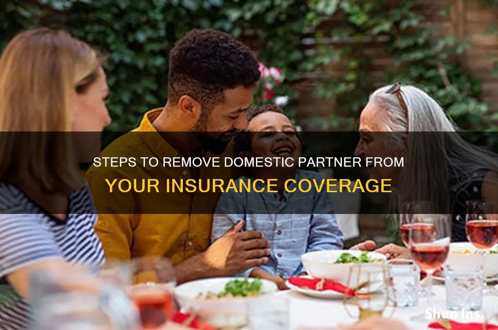 how to drop domestic partner from insurance