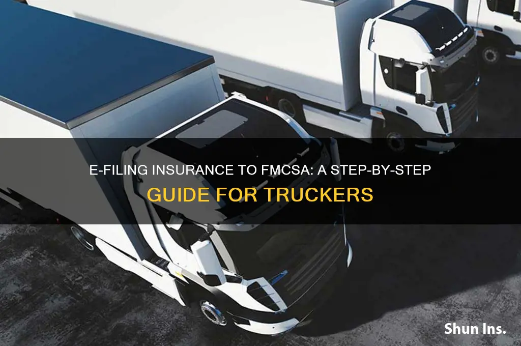 how to e file insurance to fmcsa
