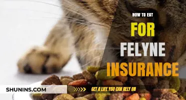 Felyne Insurance Diet: Smart Eating Tips for Your Cat's Health