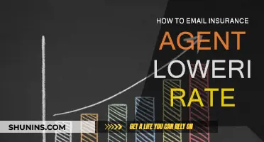 Strategies for Negotiating Lower Insurance Rates via Email