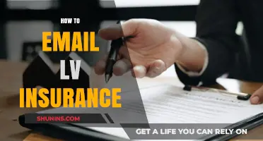How to Email LV Insurance: A Step-by-Step Guide for Customers