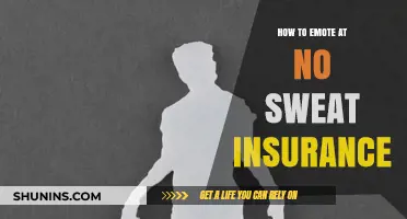 Mastering Emotional Expression: A Guide to No Sweat Insurance Success