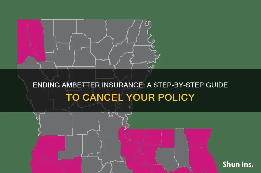 how to end ambetter insurance