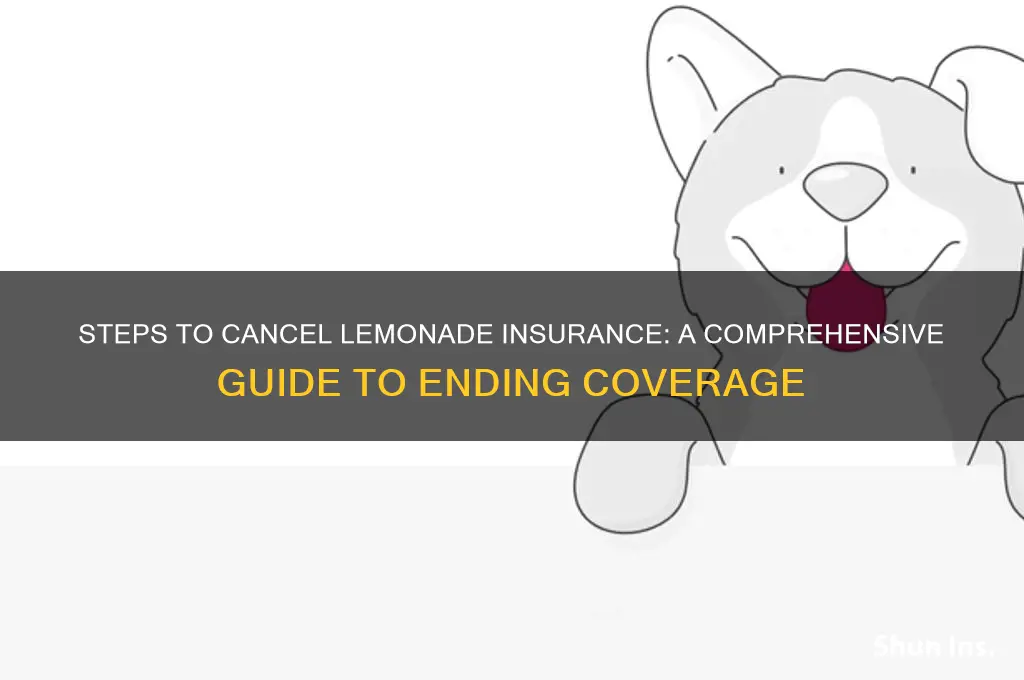 how to end lemonade insurance