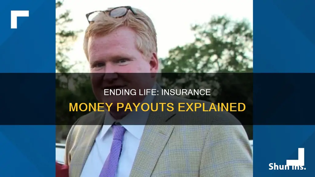 how to end your life to still get insurance money