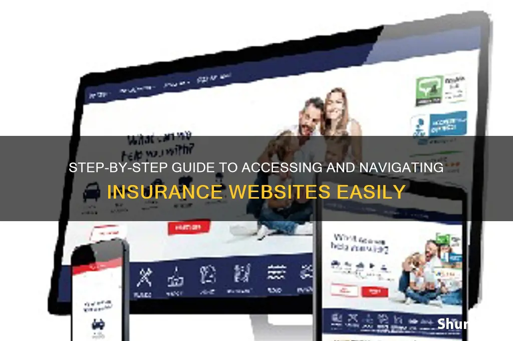 how to enter a insurance website