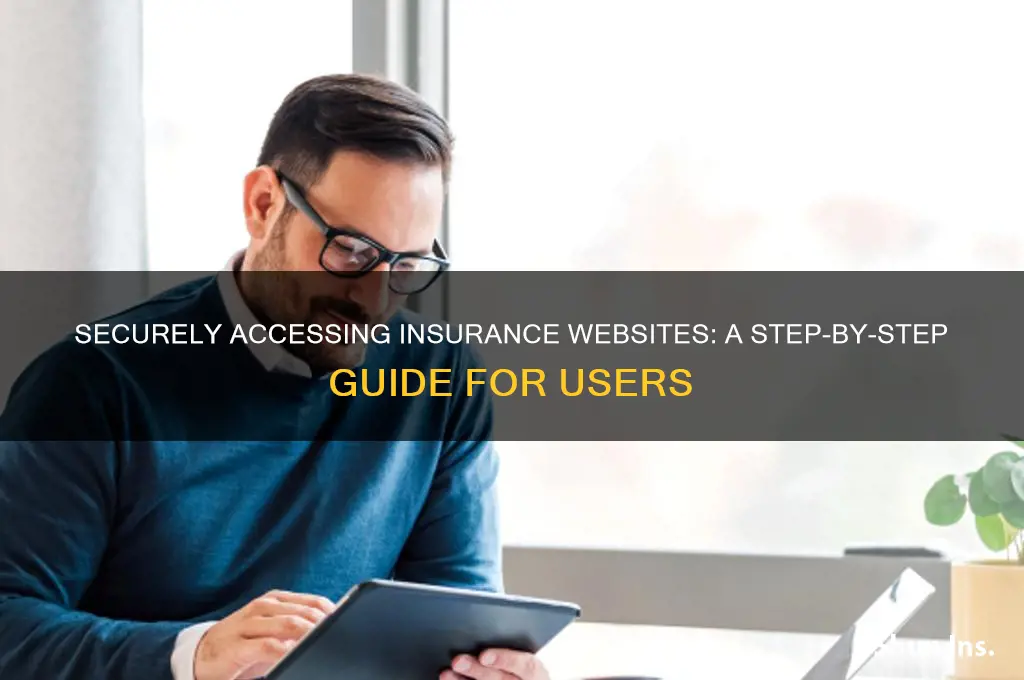 how to enter a insure website