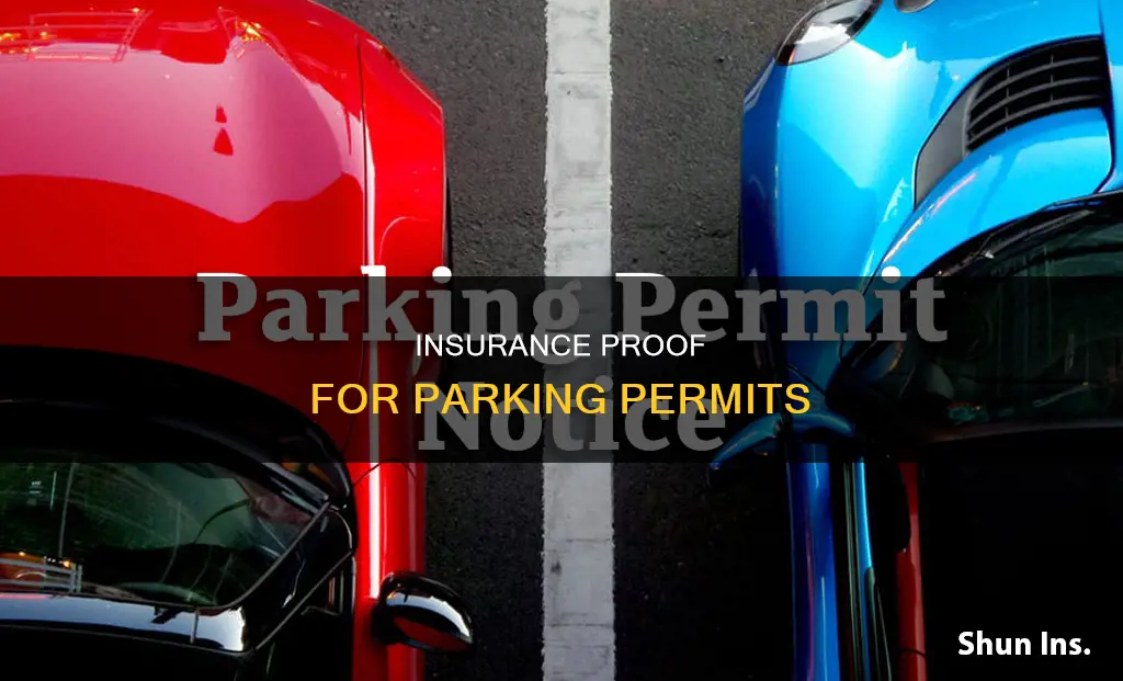 how to enter insurance for vehicle parking permit