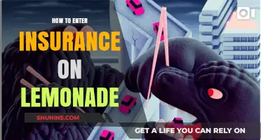 A Step-by-Step Guide to Entering Insurance on Lemonade Platform