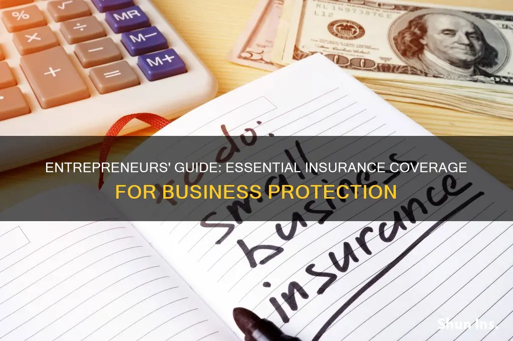 how to entreoreneurs have insurance