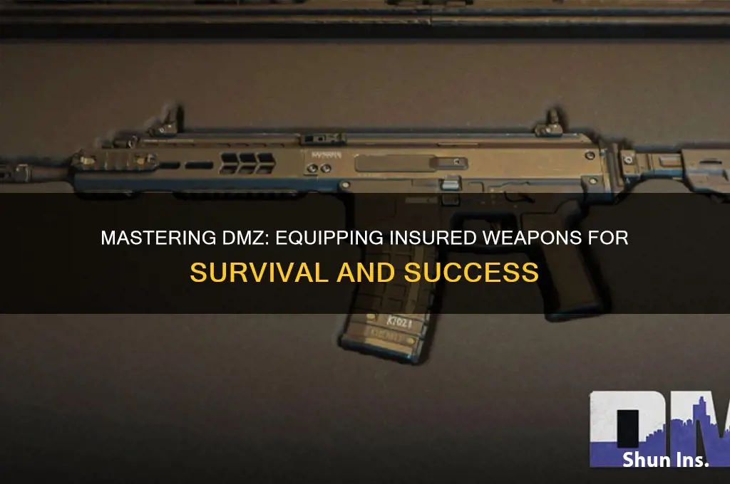 how to equip insured weapon dmz