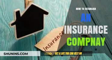 Steps to Launch Your Own Successful Insurance Company