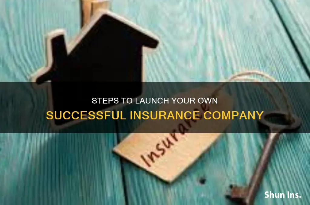 how to establish an insurance compnay