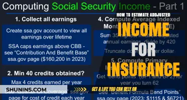 Estimating Adjusted Income for Insurance: A Comprehensive Step-by-Step Guide
