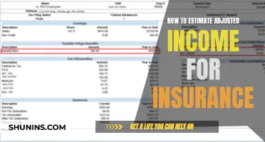 Understanding Adjusted Income: A Guide to Estimating for Insurance Purposes