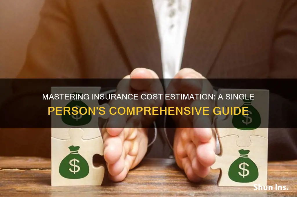 how to estimate insurance coust single