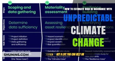 Climate Change: Insurers' Risk Estimation Challenge