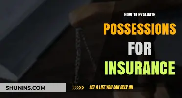 Evaluating Your Possessions: A Comprehensive Guide to Insurance Appraisal