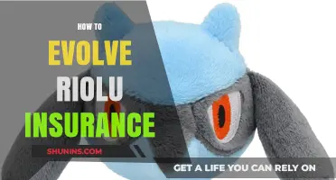 Evolving Riolu in Insurance: Strategies for Growth and Success