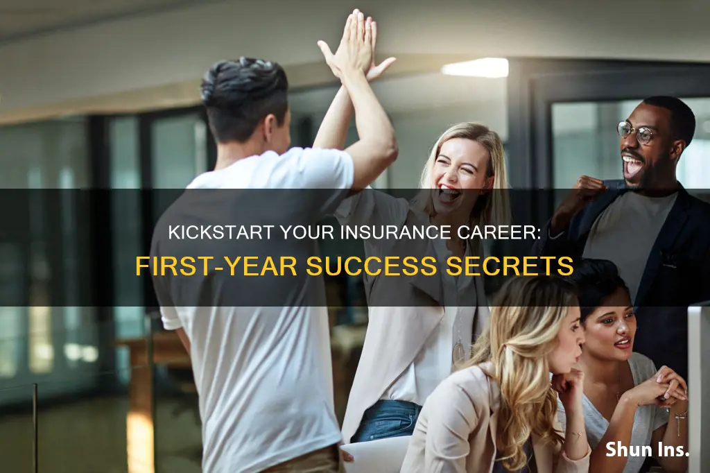 how to excel as an insurance agent in first year