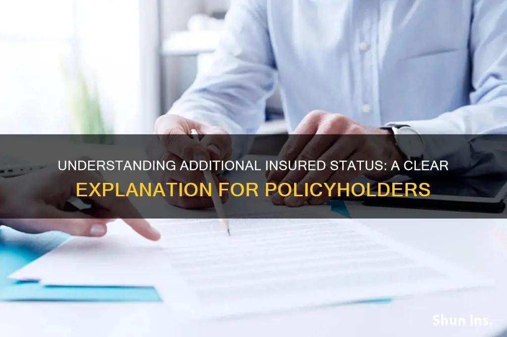how to explain additional insured status