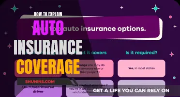 Understanding Auto Insurance: Comprehensive Guide to Coverage