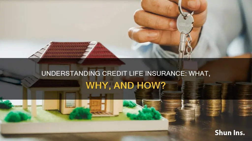 how to explain credit life insurance