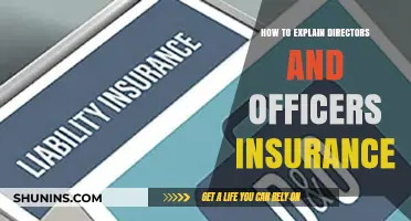 Understanding Directors and Officers Insurance: A Comprehensive Guide for Leaders