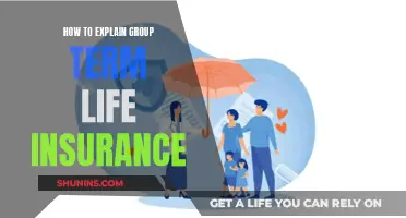 Understanding Group Term Life Insurance Benefits