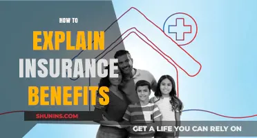Understanding Insurance Benefits: A Clear Guide to Your Coverage and Perks