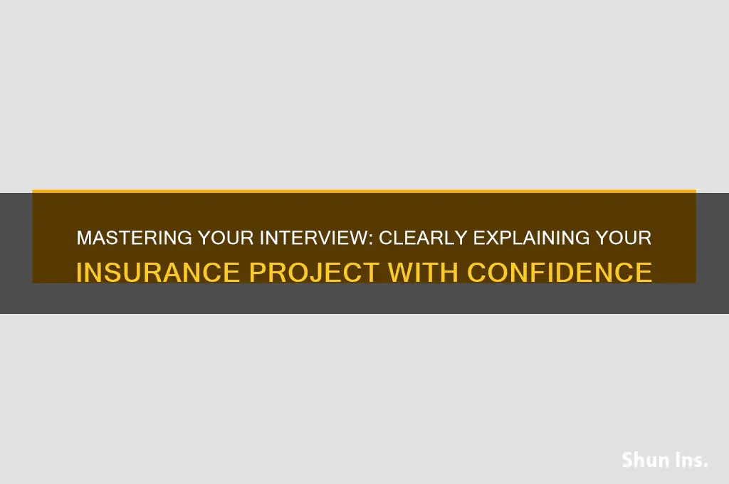 how to explain insurance project in interview