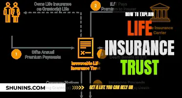 Understanding Life Insurance Trusts: A Beginner's Guide