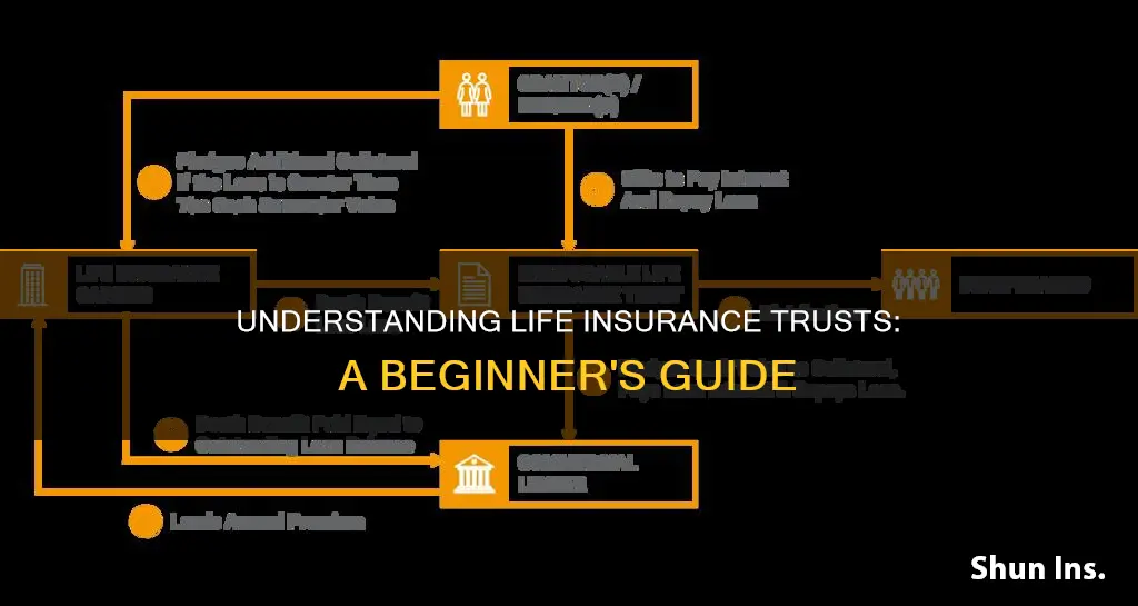 how to explain life insurance trust