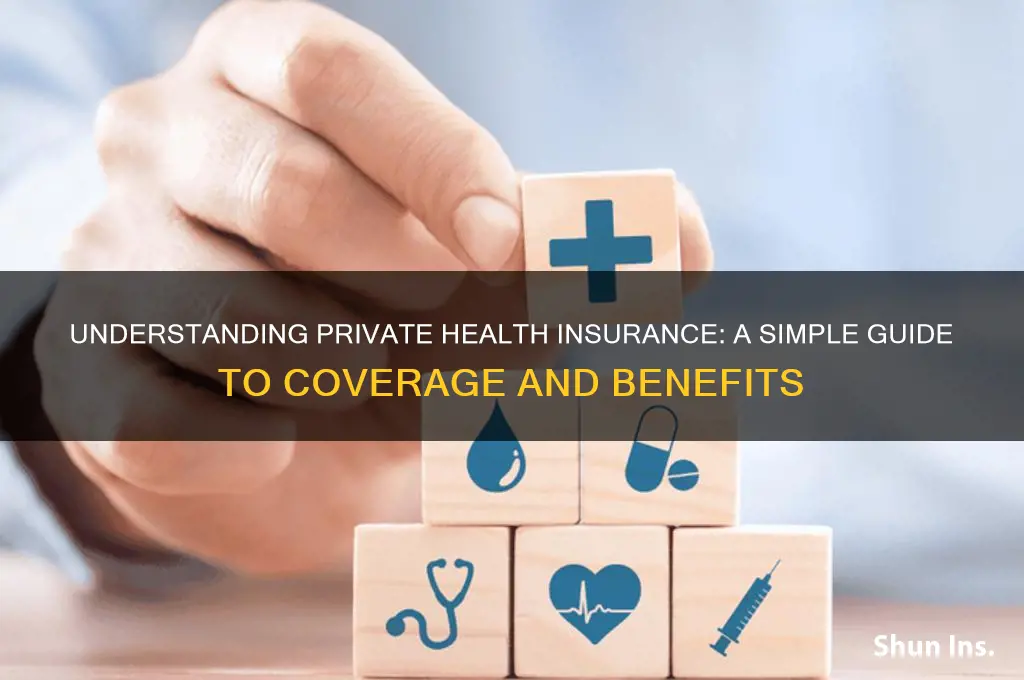 how to explain private health insurance