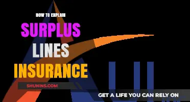 Understanding Surplus Lines Insurance: A Comprehensive Guide for Policyholders