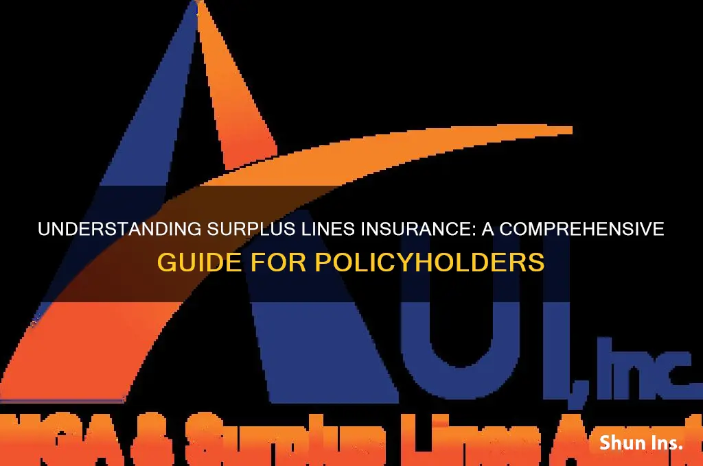 how to explain surplus lines insurance