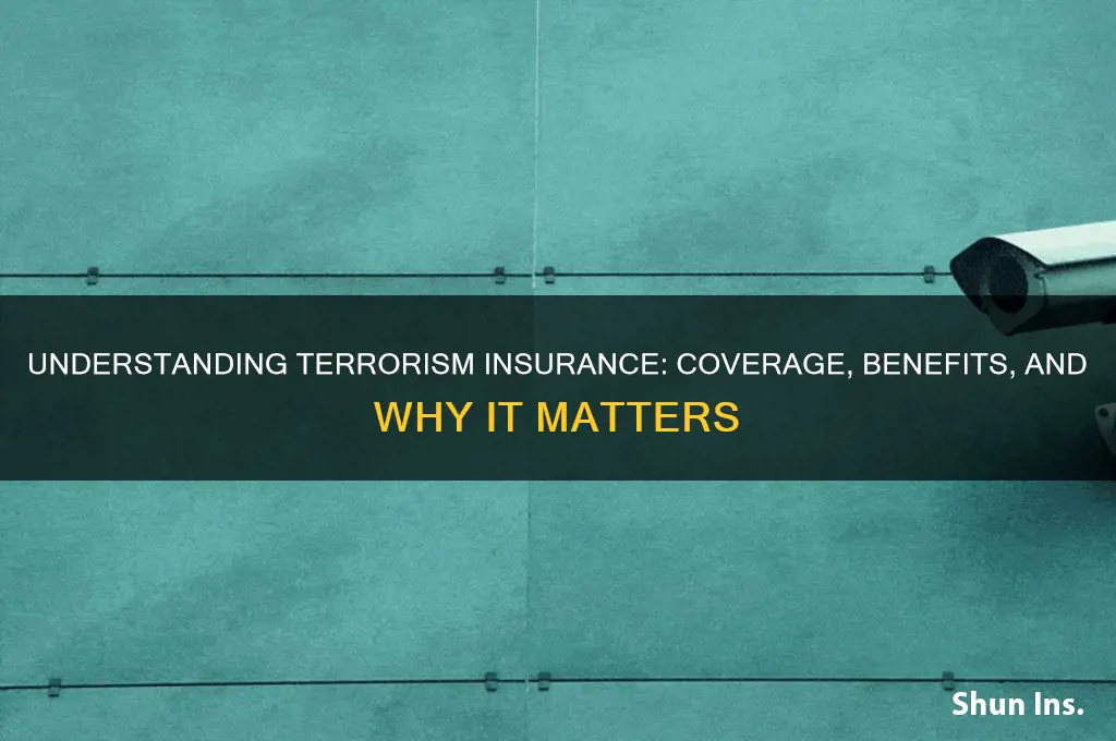 how to explain terrorism insurance
