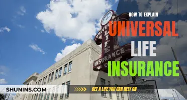 Universal Life Insurance: What You Need to Know