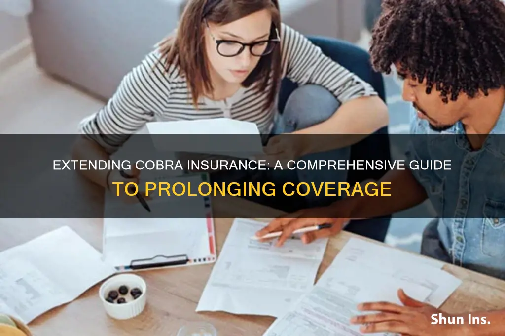 how to extend cobra insurance