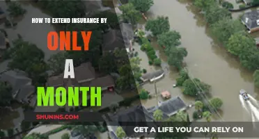 Quick Tips to Extend Your Insurance Coverage for Just One Month