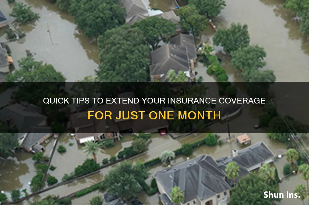 how to extend insurance by only a month